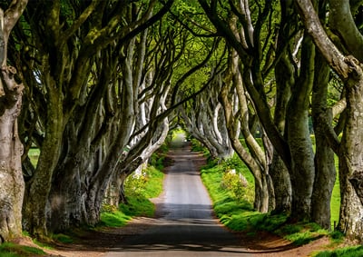 Dark-Hedges-Ireland-game-of-thrones